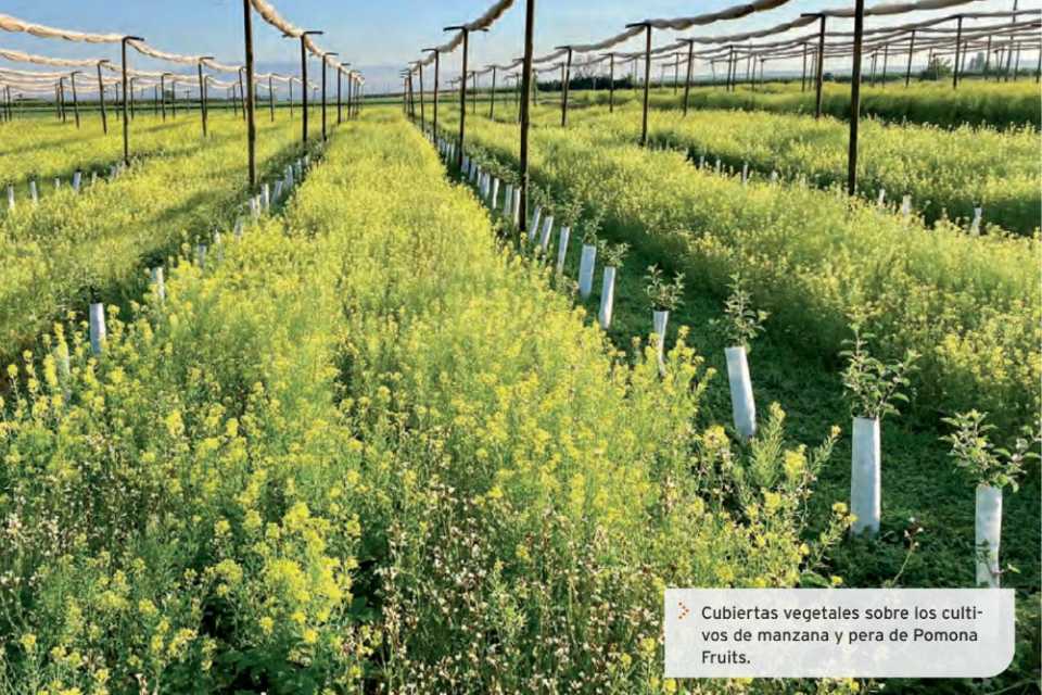 Agricultura Regenerativa Primeros pasos hacia la transición