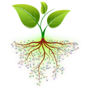 PREBIÓTICOS. Catalizador de captura de carbono en suelo agrícola