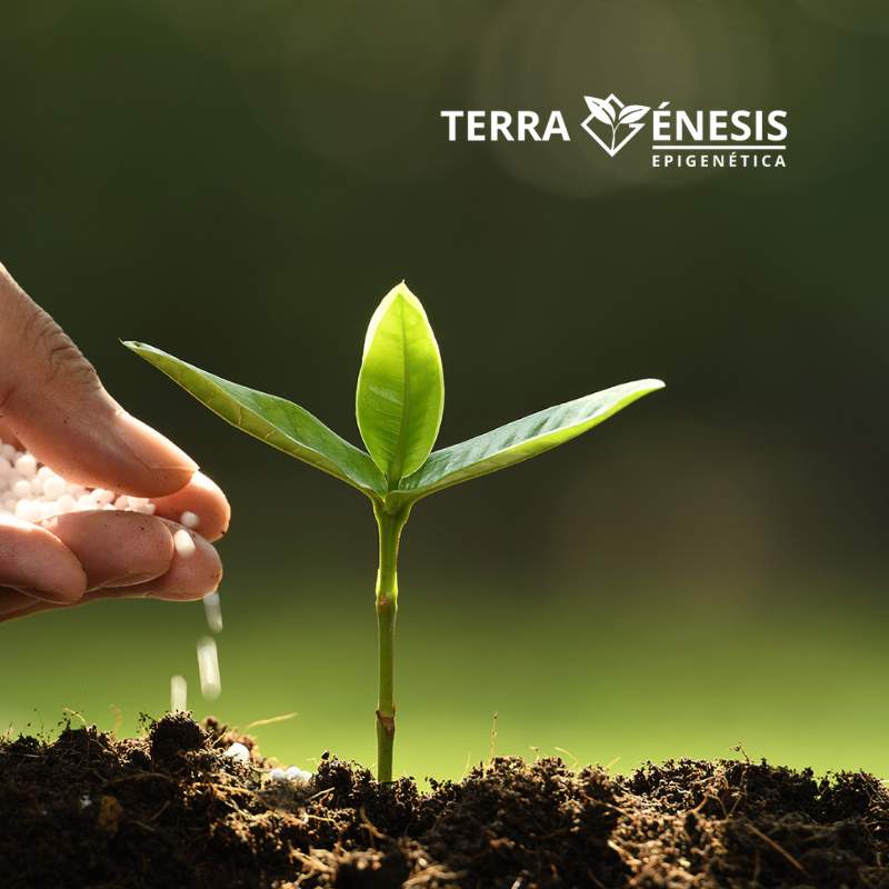 Terragénesis CASOS DE EXITO