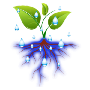 USO MEJORADO DEL AGUA. Catalizador de captura de carbono en suelo agrícola