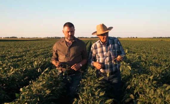 Claves de la agricultura regenerativa certificada