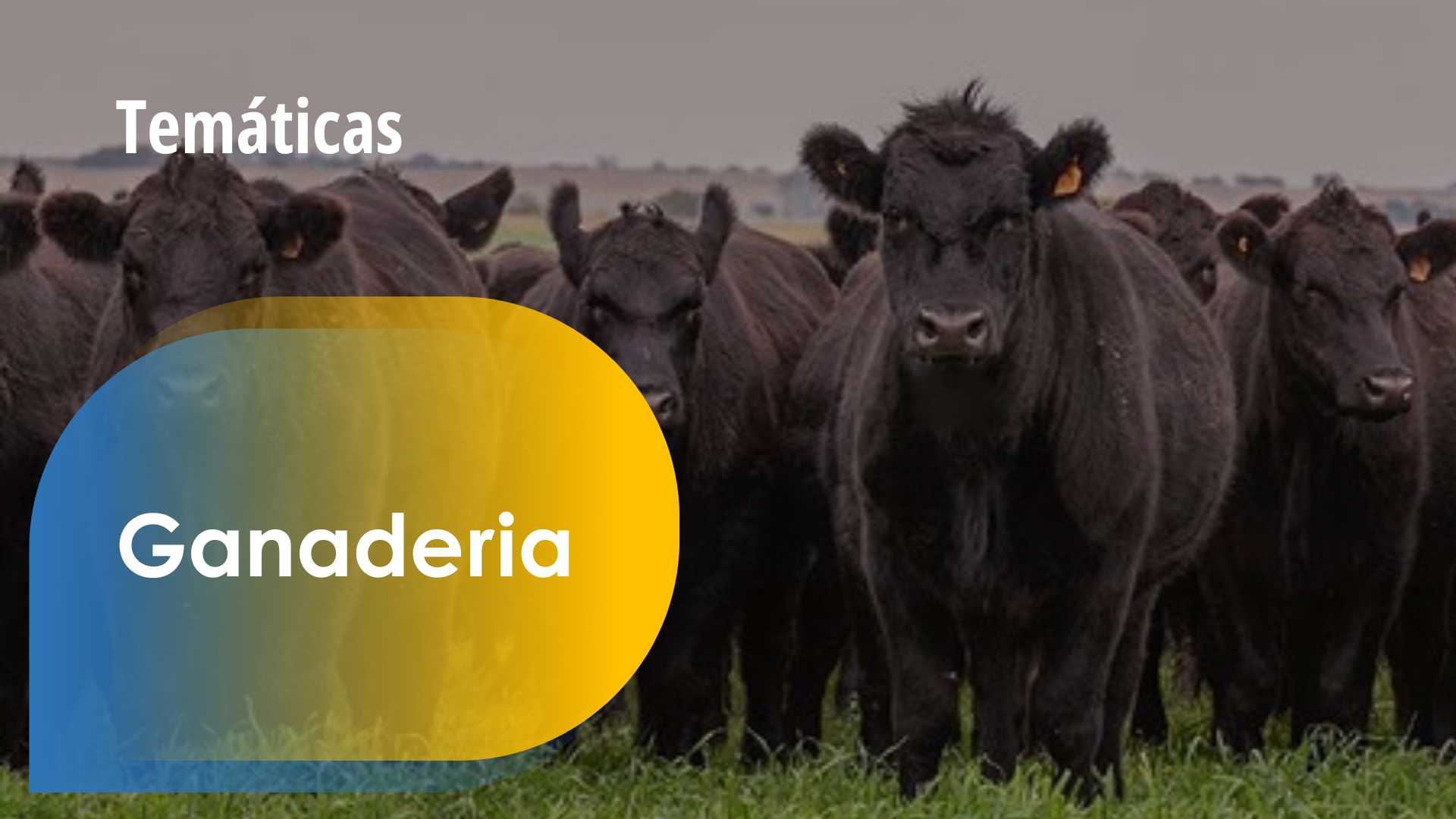 2da Masterclass Terragénesis (6) 2da Masterclass Terragénesis