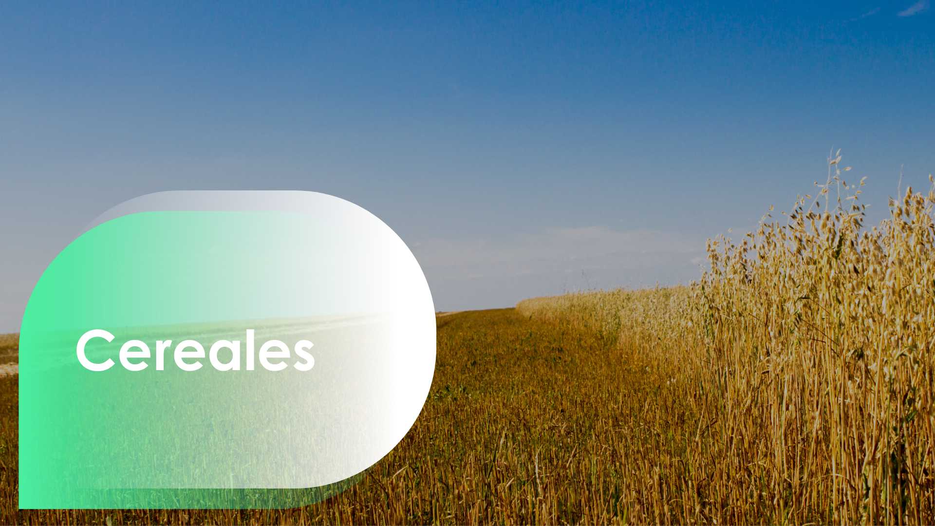 2da Masterclass Terragénesis (7) 2da Masterclass Terragénesis (6)