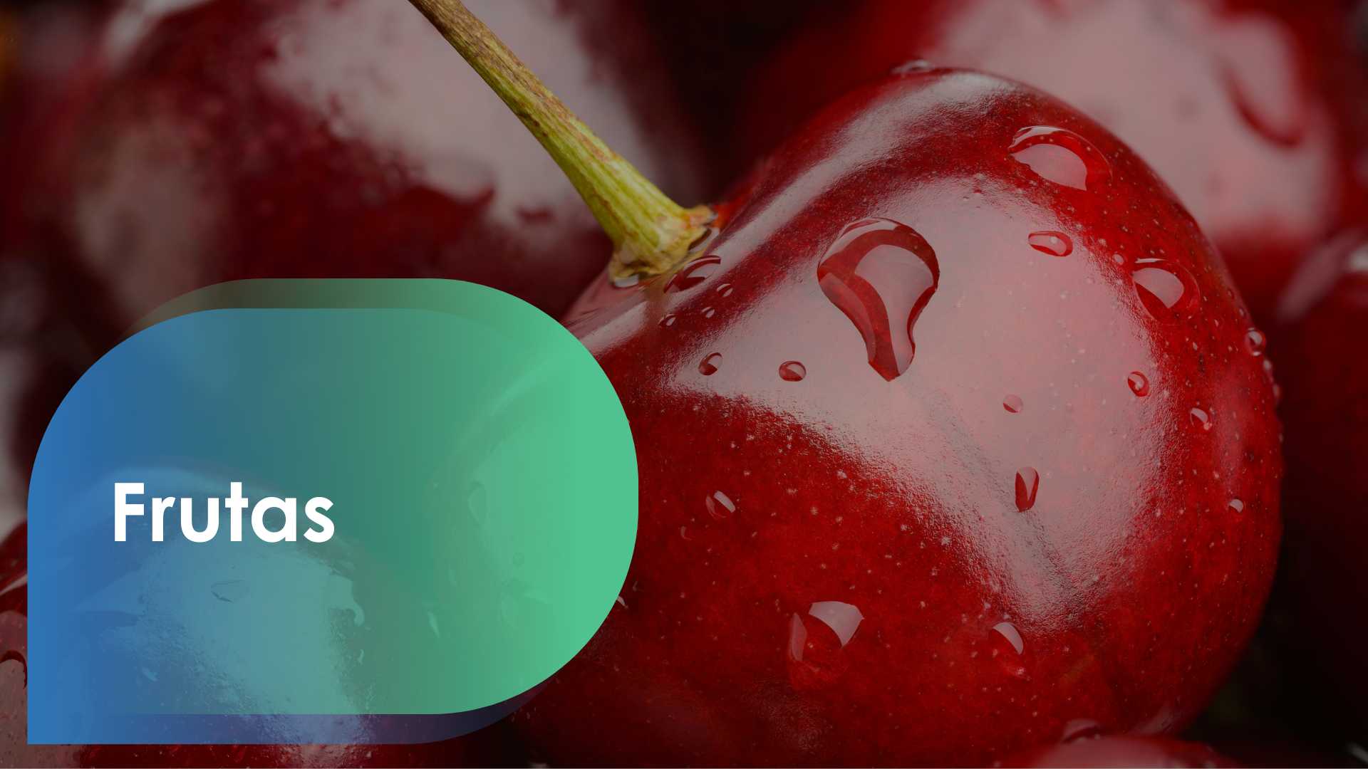 2da Masterclass Terragénesis (8) 2da Masterclass Terragénesis (6)