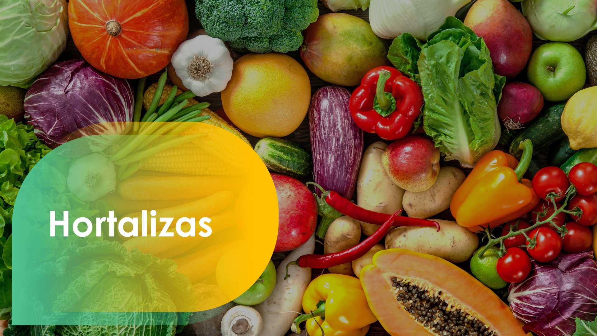 2da Masterclass Terragénesis (9) 2da Masterclass Terragénesis (6)